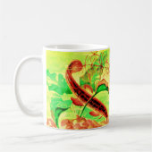 weervis koffiemok (Links)