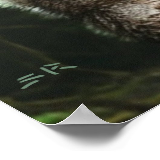 Weerwolf die het hele dorp at, waardeert poster (Hoek)