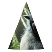 Weerwolf die het hele dorp feest petten at feesthoedjes (Links)