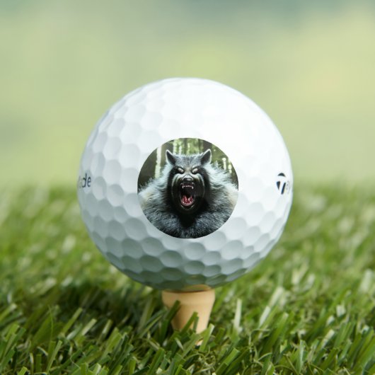 Weerwolf Taylor Made TP5 golfballen 12 pk (Insitu Shirt)