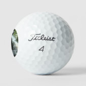 Weerwolf Titleist Pro V1 golfballen 12 pk (Logo)