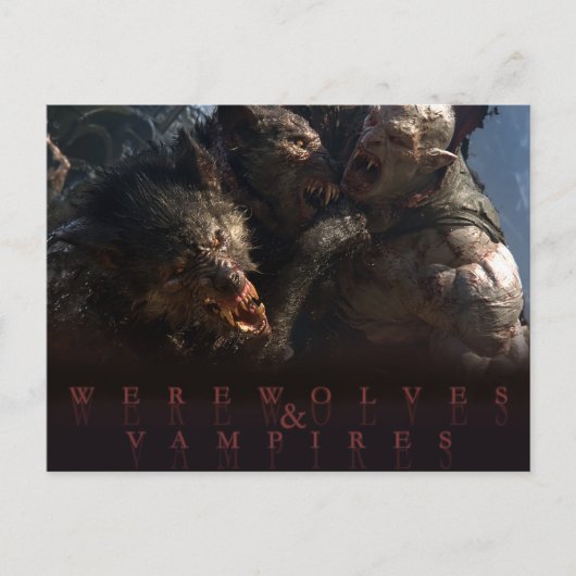 Weerwolven & Vampiers - De Strijd Briefkaart (Voorkant)