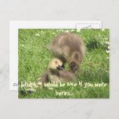 Wees aardig als je hier was... briefkaart (Voorkant / Achterkant)