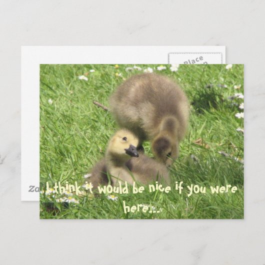 Wees aardig als je hier was... briefkaart (Voorkant / Achterkant)