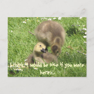 Wees aardig als je hier was... briefkaart