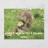 Wees aardig als je hier was... briefkaart (Voorkant)