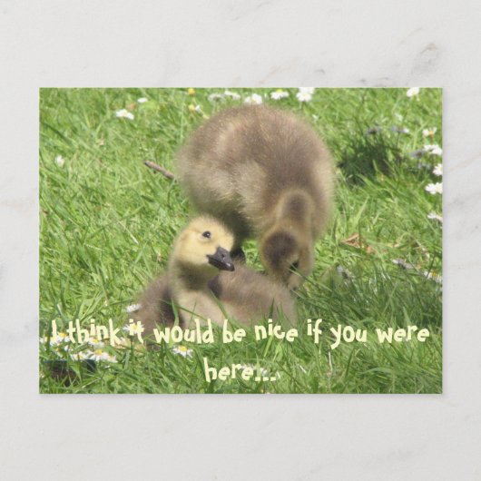 Wees aardig als je hier was... briefkaart (Voorkant)