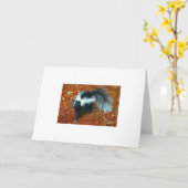 Wees aardig, anders stink ik je...wenskaart kaart (Gele Bloem)