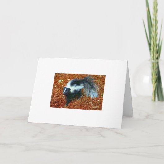 Wees aardig, anders stink ik je...wenskaart kaart (Voorkant)