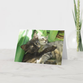 Wees alsjeblieft mijn knuffelpartner deze Valentij Aankondiging