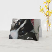 Wees alsjeblieft niet boos op me, het spijt me kaart (Gele Bloem)