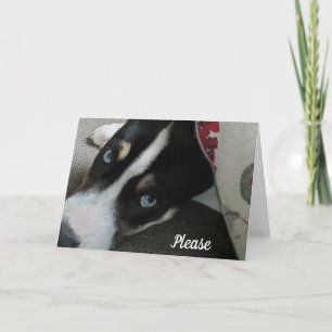 Wees alsjeblieft niet boos op me, het spijt me kaart