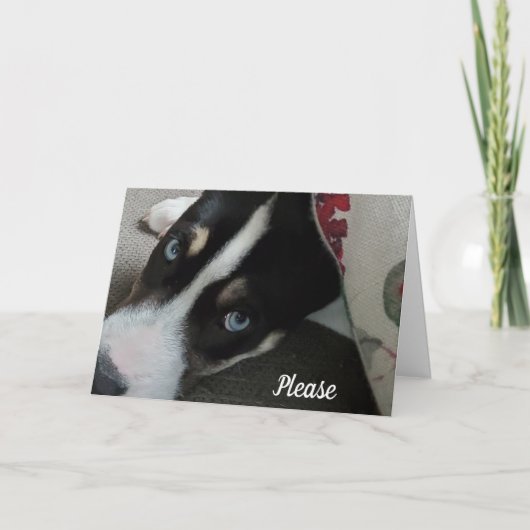 Wees alsjeblieft niet boos op me, het spijt me kaart (Voorkant)