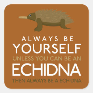 Wees altijd jezelf, tenzij je een Echidna kunt zij Vierkante Sticker