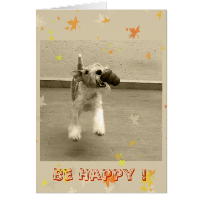 Wees blij! (Voorkant)