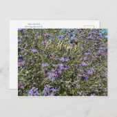 Wees blij! Briefkaart Cleveland Sage (Voorkant / Achterkant)