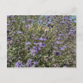 Wees blij! Briefkaart Cleveland Sage (Voorkant)