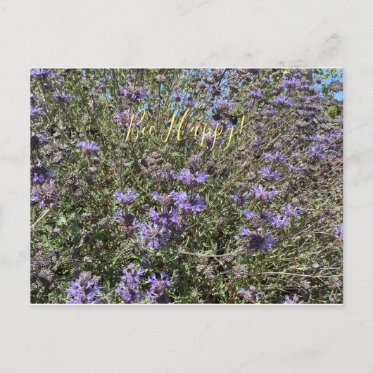 Wees blij! Briefkaart Cleveland Sage (Voorkant)