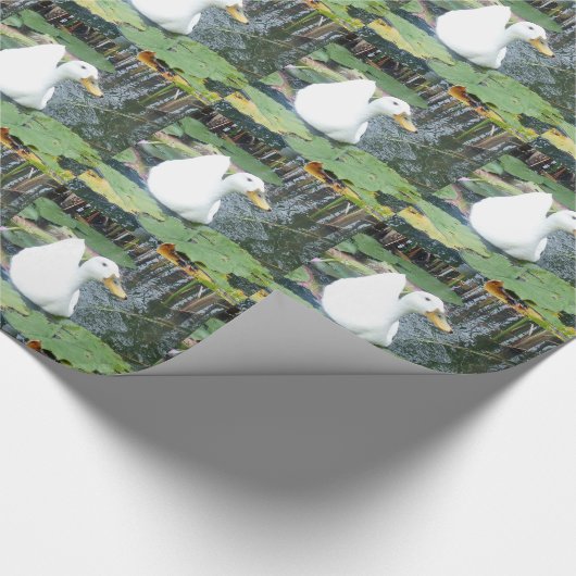 Wees blij Duck Cadeaupapier (Hoek)