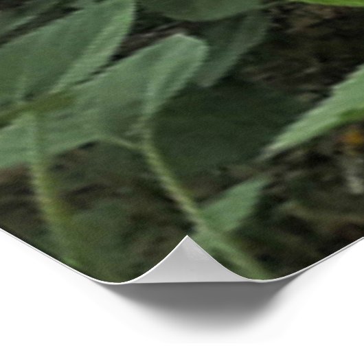 Wees blij. poster (Hoek)