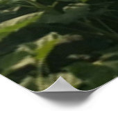 Wees blij. poster (Hoek)