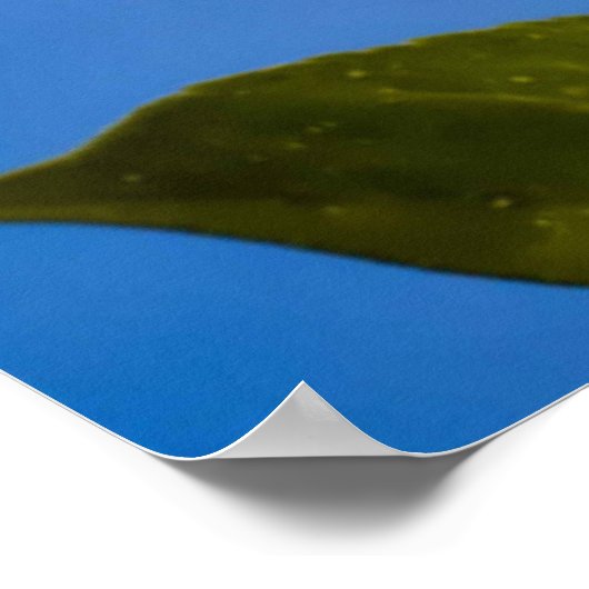 Wees blij. poster (Hoek)