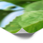 Wees blij. poster (Hoek)