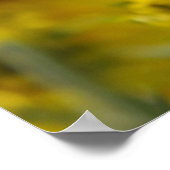 Wees blij. poster (Hoek)