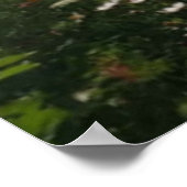 Wees blij. poster (Hoek)