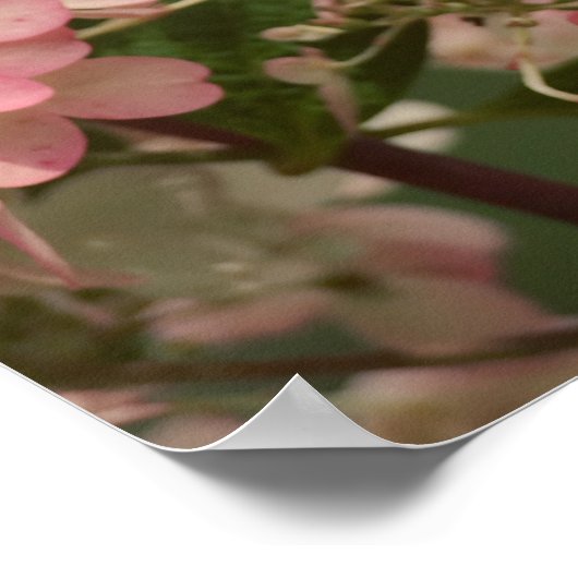 "Wees blij voor dit moment" Inspirerend Quote Poster (Hoek)