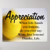 Wees dankbaar en tel je zegeningen 3 poster (Voorkant)