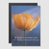 Wees dankbaar, gele papaverbloem in blauw. (Voorkant / Achterkant)