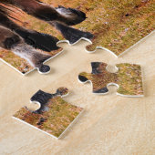 Wees de belangrijkste paarden voor races legpuzzel (Zijkant)