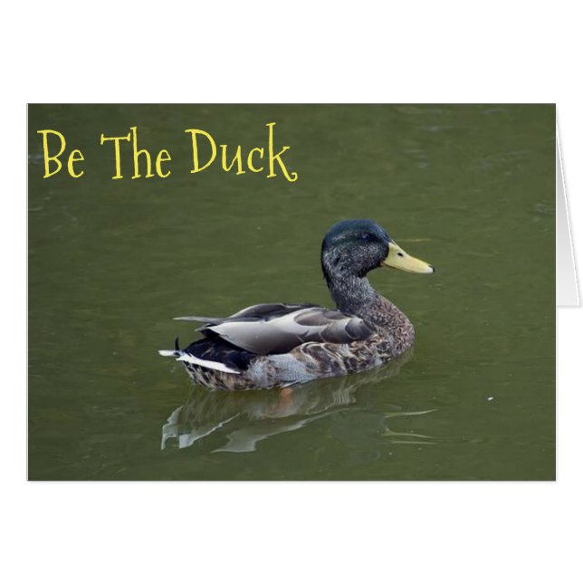 Wees de Duck (Voorkant Horizontaal)