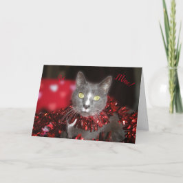 "Wees de mijne!" Kaart