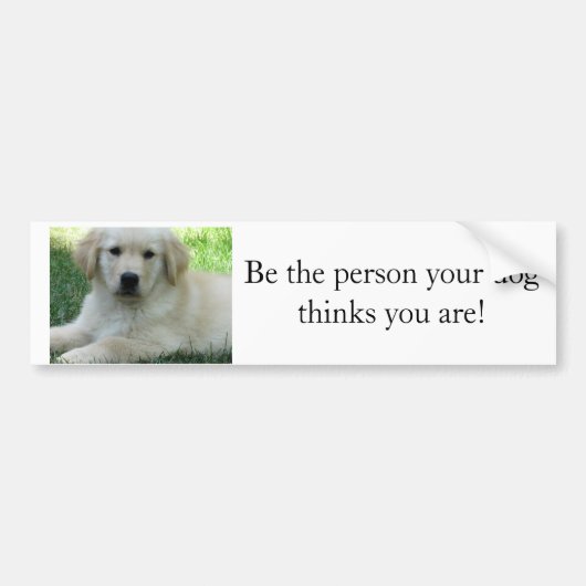 Wees de persoon die je hond denkt dat je bent bumpersticker (Voorkant)