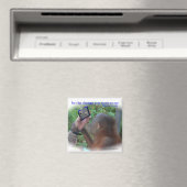 Wees de Verandering: Gezicht in de Spiegel Magneet (Insitu (Vaatwasser))