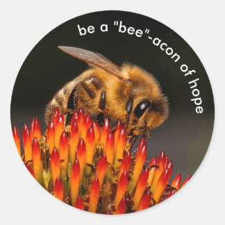 Wees een baken van de Hoop Bee op Echinacea Ronde Sticker