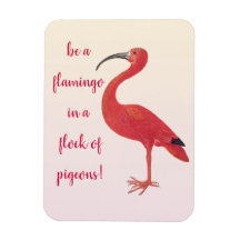 Wees een Flamingo - Fun, Inspirerend Citaat
