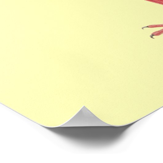 Wees een Flamingo - Fun, Inspirerend Citaat Poster (Hoek)