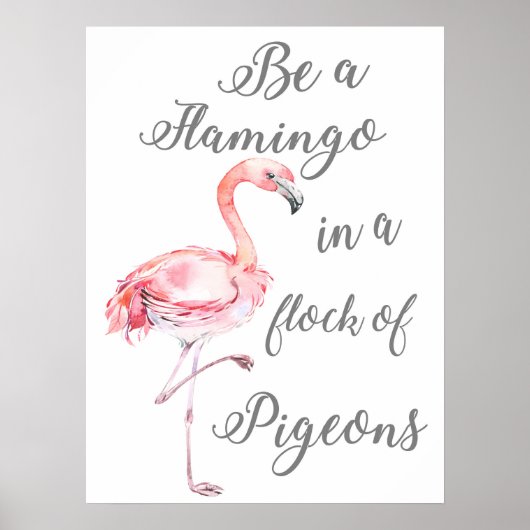Wees een Flamingo in een kudde duiven Poster (Voorkant)
