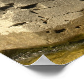 Wees een hond: Laat geen obstakels je weg blokkere Poster (Hoek)