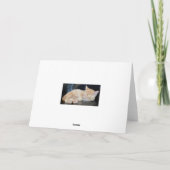 Wees een Oranje kaart Ginger Tiger Kitten Cute (Achterkant)