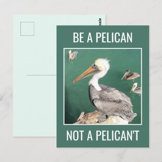 Wees een Pelicaan, geen Pelicaan. Briefkaart (Voorkant / Achterkant)