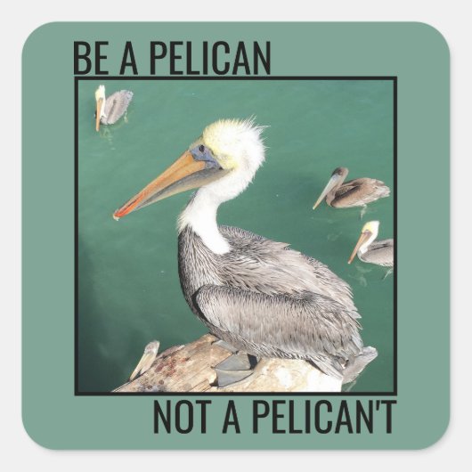Wees een Pelicaan, geen Pelicaan. Vierkante Sticker (Voorkant)