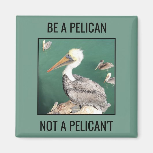 Wees een Pelicaan, geen Pelican Magnet (Voorkant)
