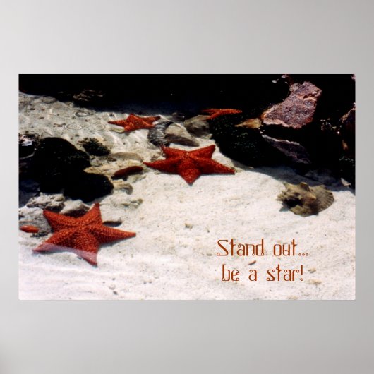 Wees een ster van de tribune poster (Voorkant)