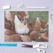 Wees een uitstapje! Papier voor kippen (Craft)