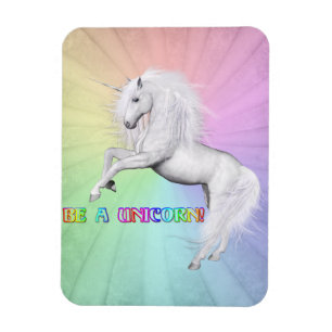 Wees een unicorn magneet