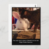 Wees een vriend Briefkaart (Voorkant / Achterkant)